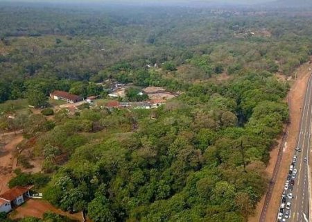 Munic&iacute;pio sul-mato-grossense pode ganhar Pantanal no nome