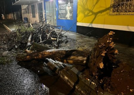 Ventania e chuva atingem sul de MS ap&oacute;s um m&ecirc;s de estiagem