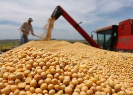 Com China cortando EUA, soja de MS ganha espa&ccedil;o no mercado global