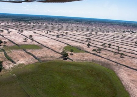 Licenciamento ambiental passa por revis&atilde;o ap&oacute;s nova lei flexibilizar regras