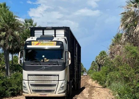 No Pantanal, contrato milionário não tira produtores do atoleiro
